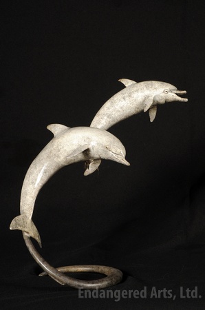 Pair of Bottlenose Dolphins
