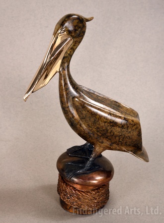 Pelican on Mooring