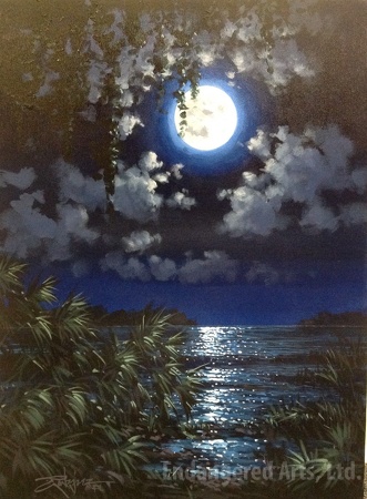 Marsh by Moonlight