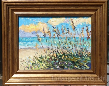 Sun Beach Grass